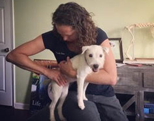 Chiropractor Dr. Pamela Stone adjusting a dog
